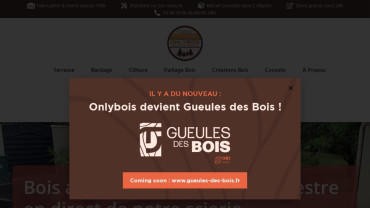 Page d'accueil du site : Onlybois