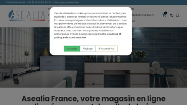 Page d'accueil du site : Asealia France