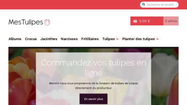 Page d'accueil du site : Mes Tulipes